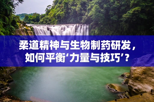 柔道精神与生物制药研发，如何平衡‘力量与技巧’？