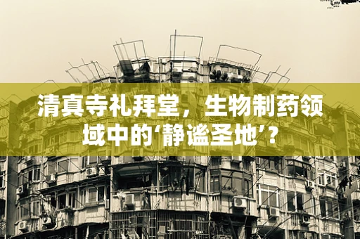 清真寺礼拜堂，生物制药领域中的‘静谧圣地’？