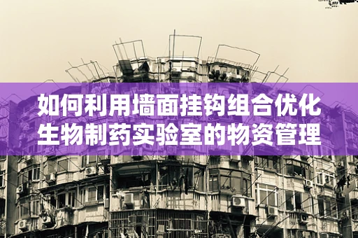 如何利用墙面挂钩组合优化生物制药实验室的物资管理？
