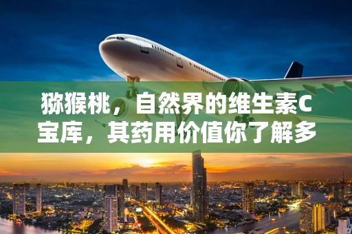 猕猴桃，自然界的维生素C宝库，其药用价值你了解多少？