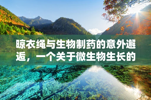 晾衣绳与生物制药的意外邂逅，一个关于微生物生长的有趣现象