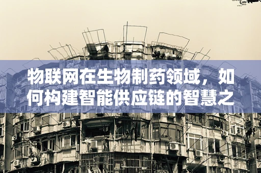 物联网在生物制药领域，如何构建智能供应链的智慧之问？