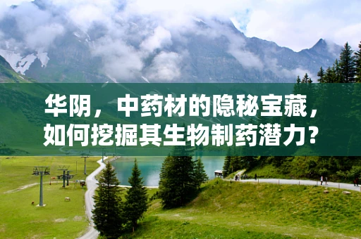 华阴，中药材的隐秘宝藏，如何挖掘其生物制药潜力？