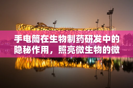 手电筒在生物制药研发中的隐秘作用，照亮微生物的微妙世界