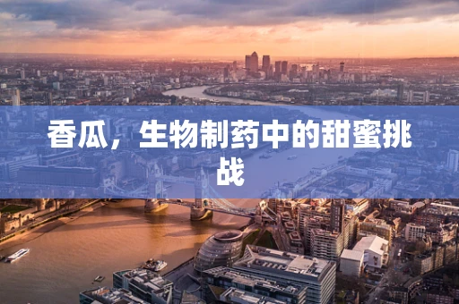 香瓜，生物制药中的甜蜜挑战