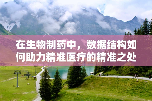在生物制药中，数据结构如何助力精准医疗的精准之处？