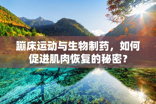蹦床运动与生物制药，如何促进肌肉恢复的秘密？