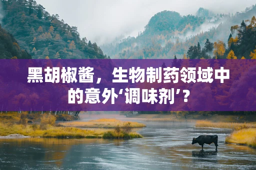 黑胡椒酱，生物制药领域中的意外‘调味剂’？