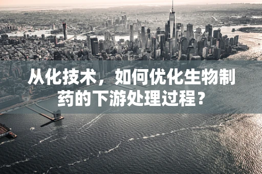 从化技术，如何优化生物制药的下游处理过程？