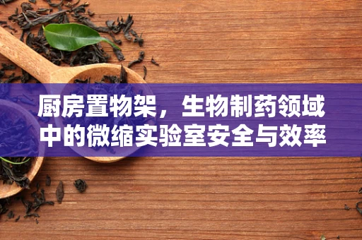 厨房置物架，生物制药领域中的微缩实验室安全与效率之问