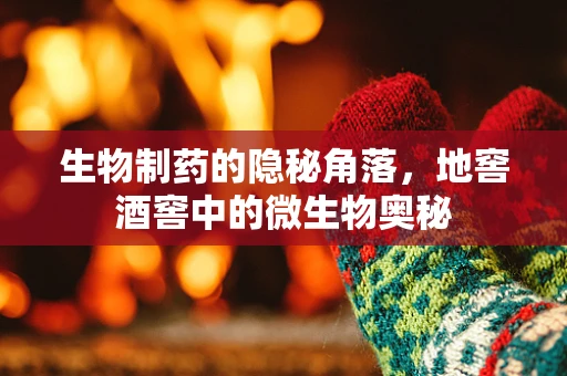 生物制药的隐秘角落，地窖酒窖中的微生物奥秘