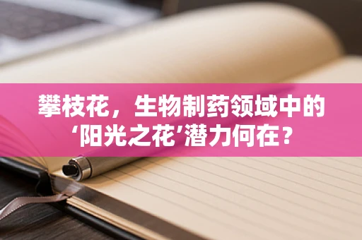 攀枝花，生物制药领域中的‘阳光之花’潜力何在？