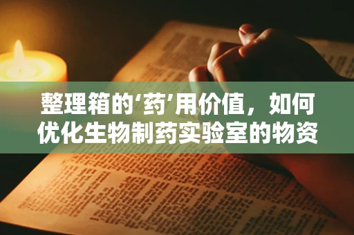 整理箱的‘药’用价值，如何优化生物制药实验室的物资管理？