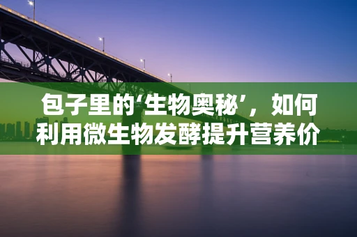 包子里的‘生物奥秘’，如何利用微生物发酵提升营养价值？