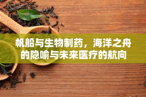 帆船与生物制药，海洋之舟的隐喻与未来医疗的航向