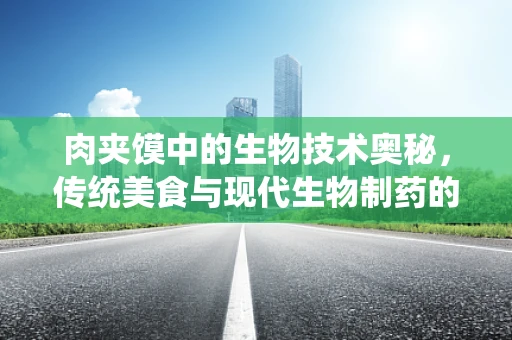 肉夹馍中的生物技术奥秘，传统美食与现代生物制药的跨界思考