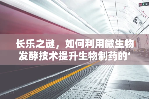 长乐之谜，如何利用微生物发酵技术提升生物制药的‘长寿’潜力？