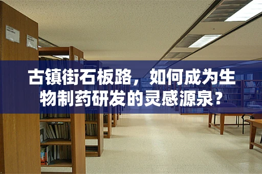 古镇街石板路，如何成为生物制药研发的灵感源泉？