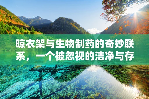 晾衣架与生物制药的奇妙联系，一个被忽视的洁净与存储解决方案？