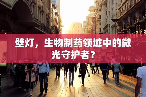 壁灯，生物制药领域中的微光守护者？