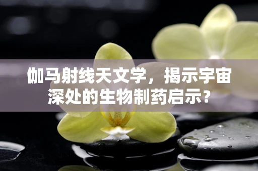 伽马射线天文学，揭示宇宙深处的生物制药启示？