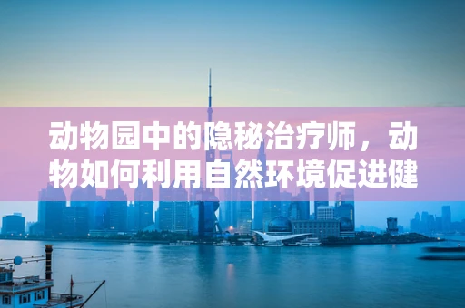 动物园中的隐秘治疗师，动物如何利用自然环境促进健康？