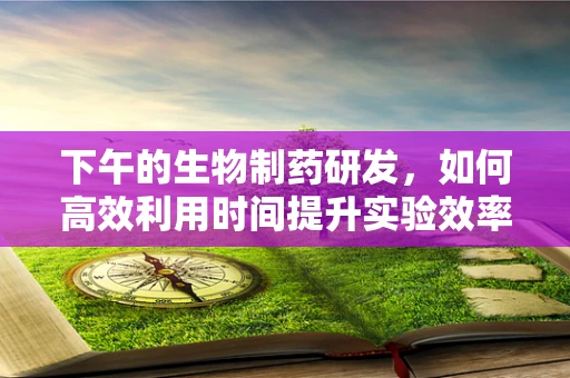 下午的生物制药研发，如何高效利用时间提升实验效率？