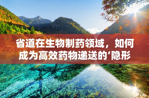 省道在生物制药领域，如何成为高效药物递送的‘隐形桥梁’？