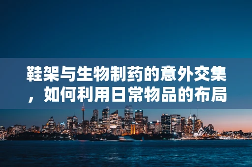 鞋架与生物制药的意外交集，如何利用日常物品的布局优化实验室环境？