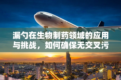 漏勺在生物制药领域的应用与挑战，如何确保无交叉污染的分离与纯化？