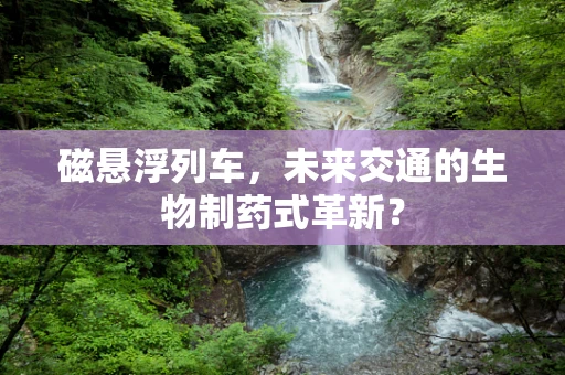 磁悬浮列车，未来交通的生物制药式革新？