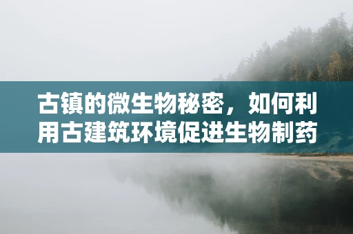 古镇的微生物秘密，如何利用古建筑环境促进生物制药的天然发酵？