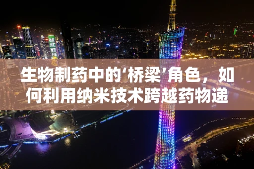 生物制药中的‘桥梁’角色，如何利用纳米技术跨越药物递送的障碍？