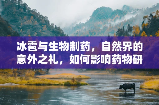 冰雹与生物制药，自然界的意外之礼，如何影响药物研发与生产？
