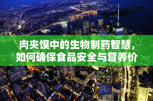 肉夹馍中的生物制药智慧，如何确保食品安全与营养价值？